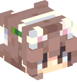 Minecraft head — People