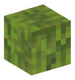 Minecraft head — Blocks