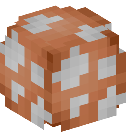 Minecraft head — Decor