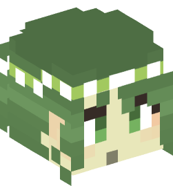 Minecraft head — People