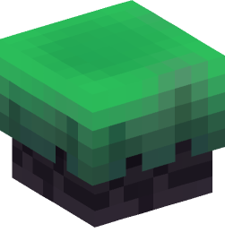 Minecraft head — Blocks