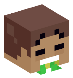 Minecraft head — Miscellaneous