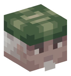 Minecraft head — People