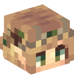 Minecraft head — People