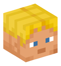 Minecraft head — People