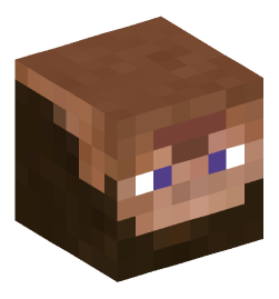 Minecraft head — People