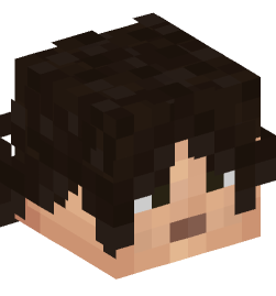 Minecraft head — People