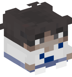 Minecraft head — Decor