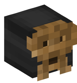 Minecraft head — Decor