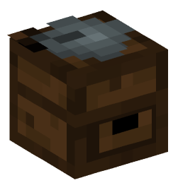 Minecraft head — Decor