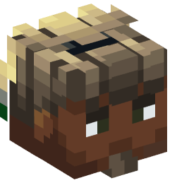 Minecraft head — People