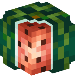 Minecraft head — Plants