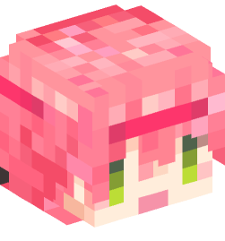 Minecraft head — People