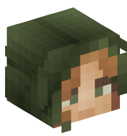 Minecraft head — People