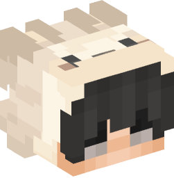 Minecraft head — People