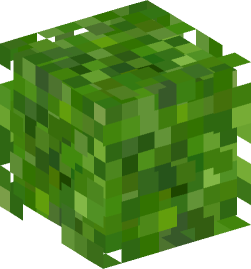 Minecraft head — Plants