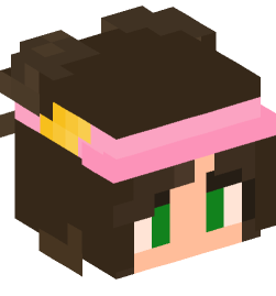 Minecraft head — People