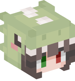 Minecraft head — People