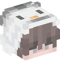 Minecraft head — People