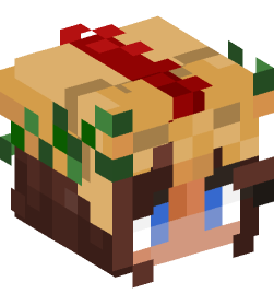 Minecraft head — People