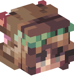 Minecraft head — People