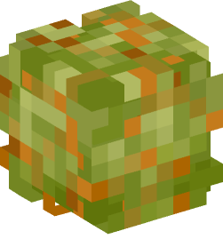 Minecraft head — Plants