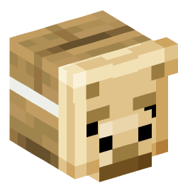 Minecraft head — Decor