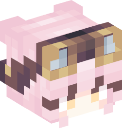 Minecraft head — People