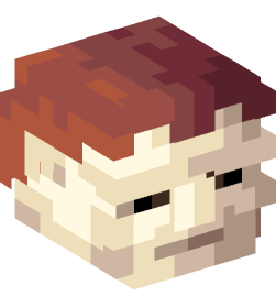 Minecraft head — People