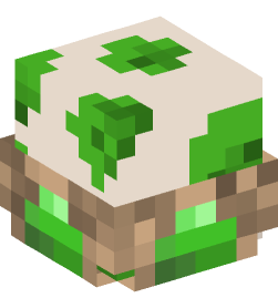 Minecraft head — Decor