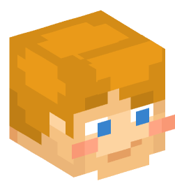 Minecraft head — People