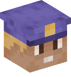 Minecraft head — People