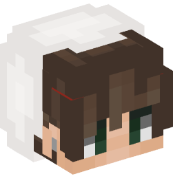 Minecraft head — People