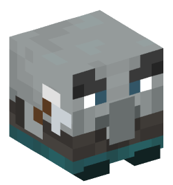 Minecraft head — Decor