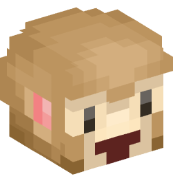 Minecraft head — Miscellaneous