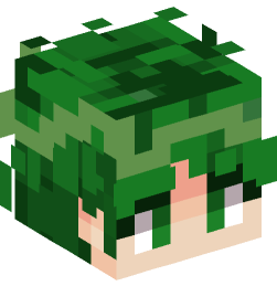 Minecraft head — People