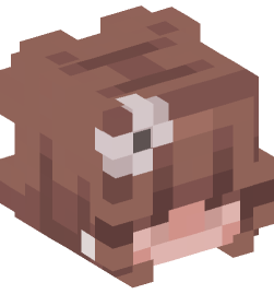 Minecraft head — People