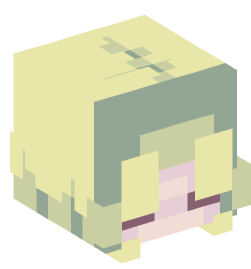 Minecraft head — People