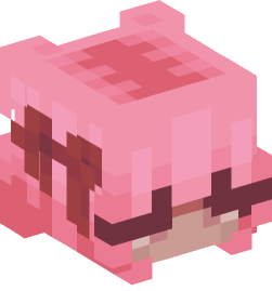 Minecraft head — People