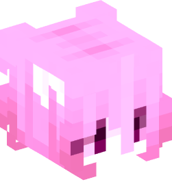 Minecraft head — People