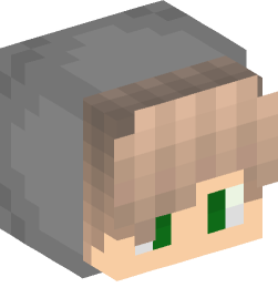 Minecraft head — People