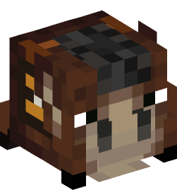 Minecraft head — Decor