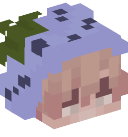 Minecraft head — People