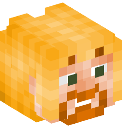 Minecraft head — People