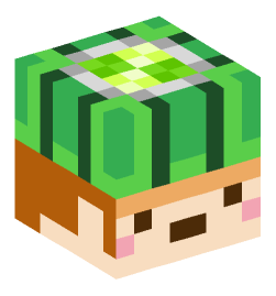 Minecraft head — Creatures