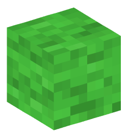 Minecraft head — Blocks