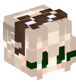 Minecraft head — People