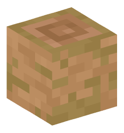 Minecraft head — Blocks