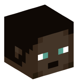 Minecraft head — People