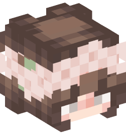 Minecraft head — People